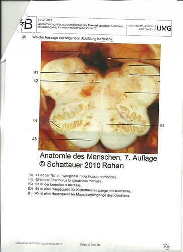 Ana16.jpg